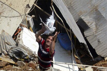 Un libanés suelta un pájaro entre las ruinas de su casa destruida en un suburbio de Beirut.