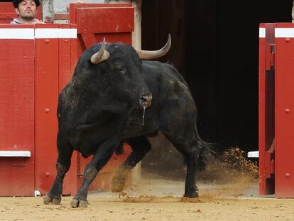 Salida al ruedo del cuarto toro de Cuadri.