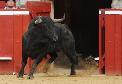 Salida al ruedo del cuarto toro de Cuadri.