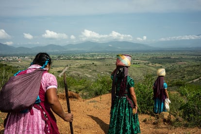 Mujeres zapotecas caminan por la comunidad de San Marcos Tlapazola, en Oaxaca