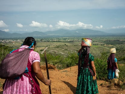 Mujeres zapotecas caminan por la comunidad de San Marcos Tlapazola, en Oaxaca