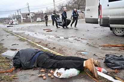 Unos trabajadores municipales introducen un cuerpo en una furgoneta. En primer término, otro cadáver yace sobre una bolsa de plástico y un lecho de patatas desparramadas. Esta víctima probablemente había salido a buscar comida.