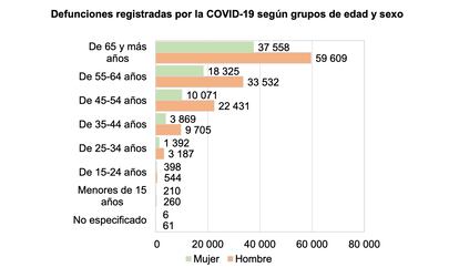 Defunciones registradas por covid-19 en México durante 2020 por grupo de edad.