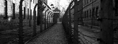 Un camino conduce a una de las torres de observación y seguridad, entre alambradas electrificadas, en el campo de exterminio nazi de Auschwitz I en Oswiecim, a unos 40 kilómetros de Cracovia (Polonia), el pasado diciembre. Lo que conocemos como Auschwitz era en realidad un complejo formado por varios campos de exterminio: Auschwitz I, Auschwitz II Bikernau, Auschwitz III Monowitz y otros 45 satélites, en el que se calcula que murieron 1,1 millón de personas.