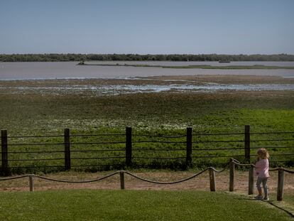 Una niña miraba las aves en la marisma de Doñana desde El Rocío, Huelva, la semana pasada.