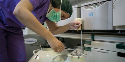 Una bióloga manipula una canasta de óvulos y embriones almacenados en nitrógeno líquido en el laboratorio médico del Instituto Cefer de Barcelona.