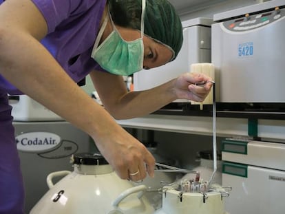 Una bi&oacute;loga manipula una canasta de &oacute;vulos y embriones almacenados en nitr&oacute;geno l&iacute;quido en el laboratorio m&eacute;dico del Instituto Cefer de Barcelona.