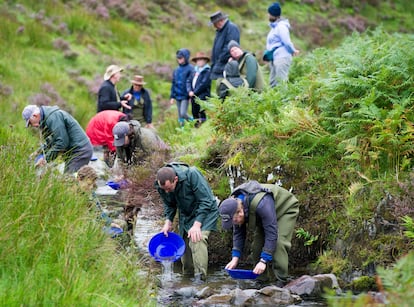 Turistas en busca de oro en el en el cauce del Mennock, cerca de la localidad de Wanlockhead.