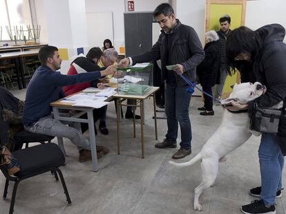 Una pareja, acompañada por un perro, votan en un colegio electoral de Sevilla.