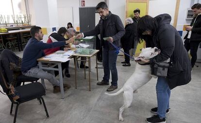 Una pareja, acompañada por un perro, votan en un colegio electoral de Sevilla.