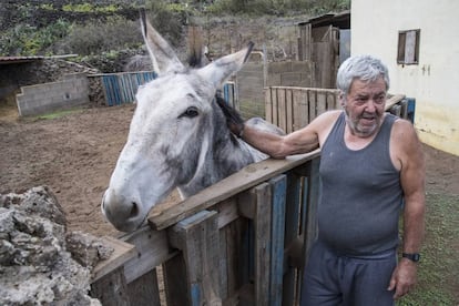 El agricultor Antonio Barrera Brito, en el Hoyo del Barrio, que forma parte del pueblo de El Mocanal, al norte de la isla canaria.