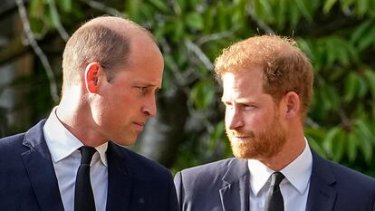 Guillermo y Enrique de Inglaterra, en septiembre en el castillo de Windsor.