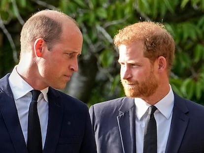 Guillermo y Enrique de Inglaterra, en septiembre en el castillo de Windsor.