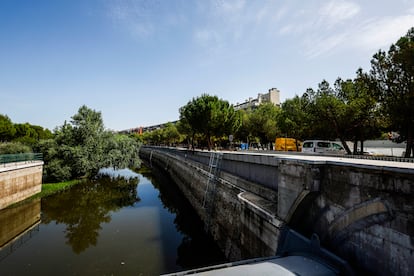 Vista del río Manzanares desde la presa seis, una de las zonas donde el Ayuntamiento quiere instalar iluminación nocturna.