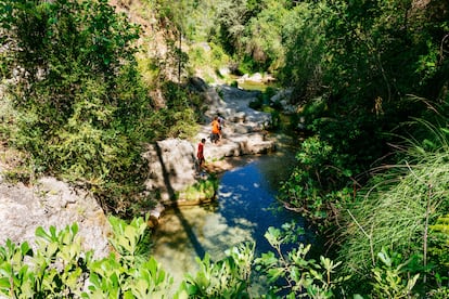 Cazorla