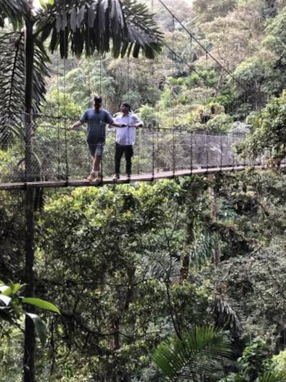 Puente colgante en el parque Mistico (Costa Rica).