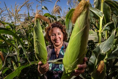 Julia Lespinasse Tapia sabe que una dieta equilibrada es muy importante para la salud los beneficiarios de su fundación gracias a una formación de la Universidad Católica de Chile. “Ahora tratamos darles alimentos saludables y que no causen enfermedades. Hay niñas de ocho años con colesterol alto porque comen todo con kétchup y mayonesa”, comenta.