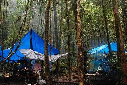 El equipo científico instalaron su "centro de operaciones" en las montañas de Foya, situadas en la provincia de Papua, en Nueva Guinea, durante los meses de noviembre y diciembre de 2005, tiempo en el que realizaron sus investigaciones.