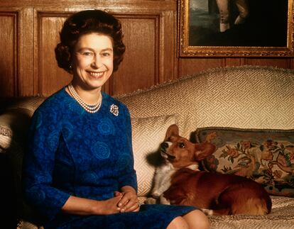 La reina Isabel II, fallecida el pasado septiembre, sonríe a la cámara mientras uno de sus corgis la mira arrobado.