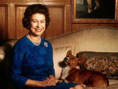 La reina Isabel II, fallecida el pasado septiembre, sonríe a la cámara mientras uno de sus corgis la mira arrobado.
