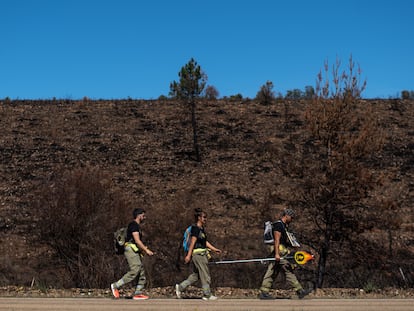 La marcha de protesta de los bomberos en Castilla y León pasa frente a un paisaje calcinado por el fuego de este verano.