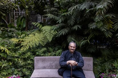 Pablo Weisz hijo de Leonora Carrington posa para un retrato en Ciudad de México.