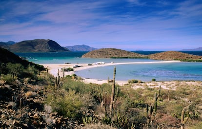 Golfo de California en Baja California.