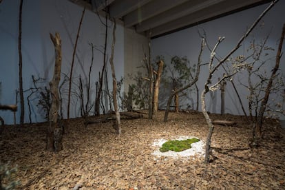 'Untitled: Silueta Series' (1978-2024), instalación de los setenta de Ana Mendieta, recreada ahora en la muestra del Musac de León.