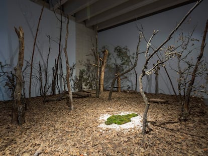 'Untitled: Silueta Series' (1978-2024), instalación de los setenta de Ana Mendieta, recreada ahora en la muestra del Musac de León.