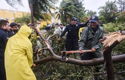 Los bomberos quitan un árbol derribado por el huracán Delta en Cancún la mañana de este miércoles.