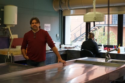 Jesús Tomás, biólogo de la Universitat de València, frente a una mesa de necropsias para animales marinos.