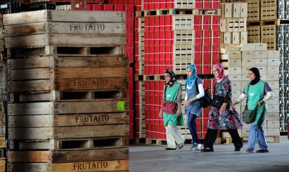 Cuatro mujeres acuden con velo al trabajo en Aitona (Lleida).