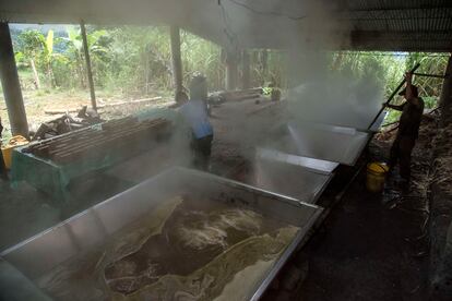 Un hombre revuelve el jugo de caña de azúcar en una plantación en Boyaca, Colombia.