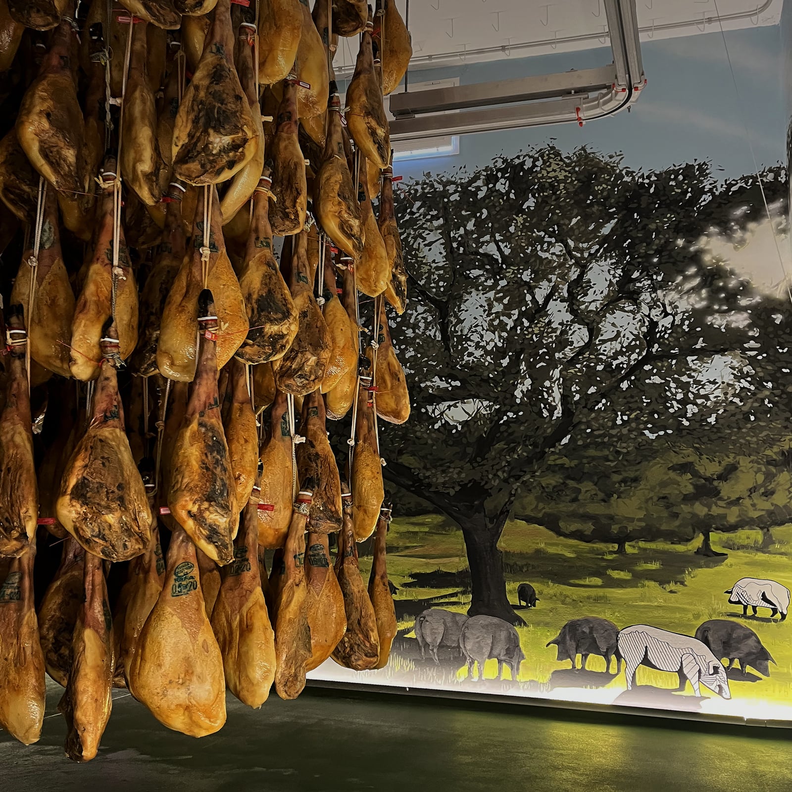 Exposición de jamón ibérico de Fisan (Florencio Sánchez e Hijos).