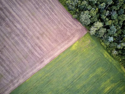 Vista aérea das plantações de soja no limite da área da Floresta Nacional no baixo Tapajós, Pará.