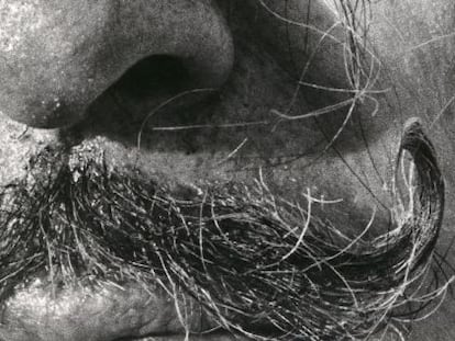 Dalí, visiones de un genio