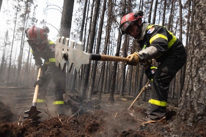 Wildfires Canada's