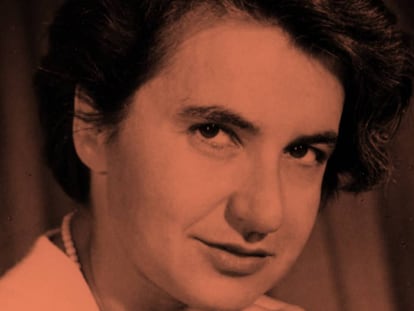 Rosalind Franklin ajudou a desvendar o DNA, mas ficou sem o Nobel