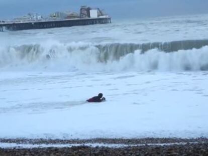 La dueña del animal se metió en el agua pese al fuerte oleaje que azotaba la costa de Brighton