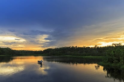 Una canoa atraviesa la laguna Pañacocha.