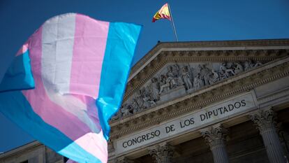 Una bandera ondea ante el Congreso de los Diputados en una manifestación por los derechos de las personas transexuales. EFE/Luca Piergiovanni