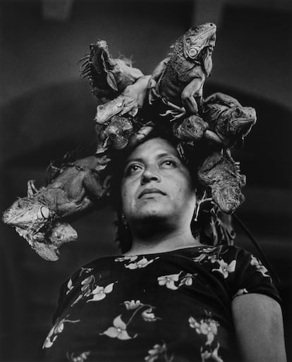 'Nuestra Señora de las Iguanas'. Juchitán. México, 1979. Es una de las imágenes más conocidas de la autora mexicana. Su obra se ha expuesto en el Pompidou, el San Francisco Museum of Modern Art, el Paul Getty Museum o la Fundación Mapfre de Madrid.