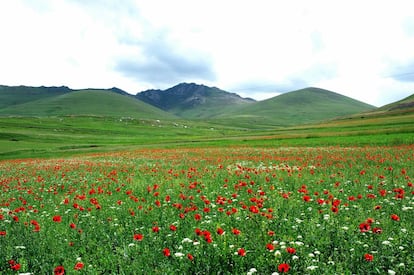 Área protegida de Arasbaran (Irã).