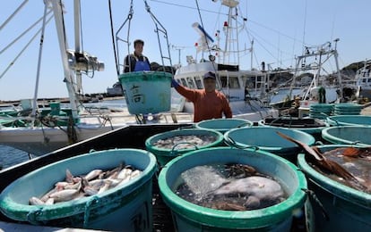 Pescadores desembarcan en un puerto al sur de Fukushima.