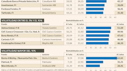 La volatilidad marca el rendimiento de los mejores fondos mixtos