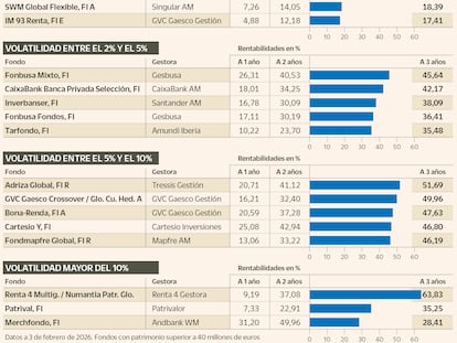 La volatilidad marca el rendimiento de los mejores fondos mixtos