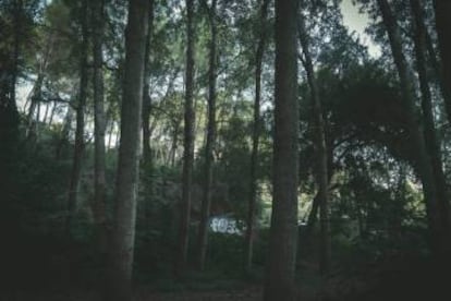 El parc Canals i Nubiola de Sant Esteve Sesrovires.