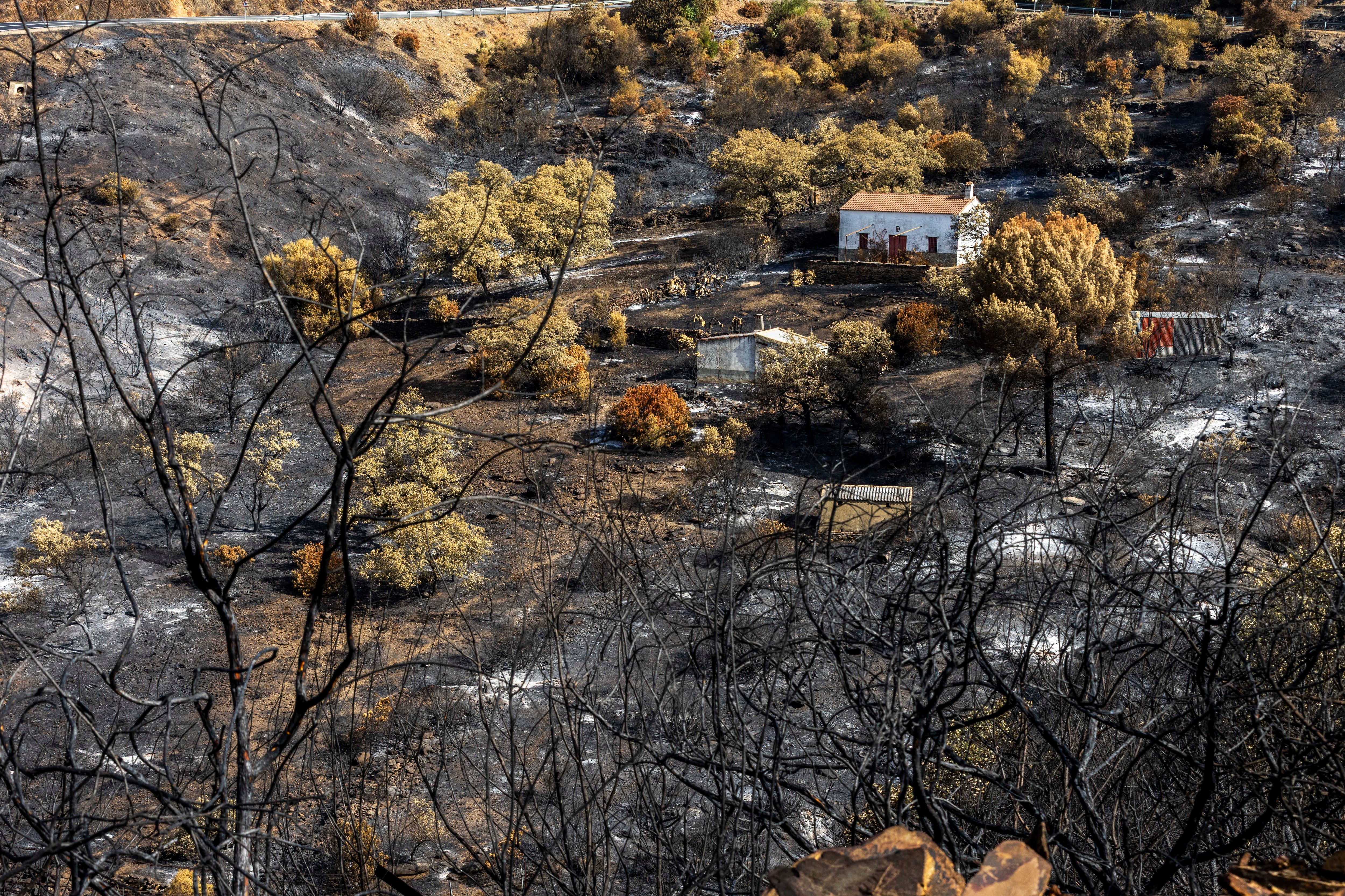 Los vecinos afectados por el incendio en Huesca podrán volver el martes a sus casas