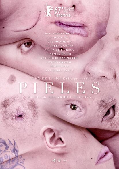 Cartel completo de la película 'Pieles'.