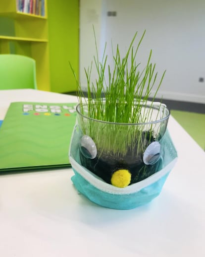 Comenzar un huerto con los restos de tu ensalada o con pequeñas semillas es una actividad de lo más pedagógica.